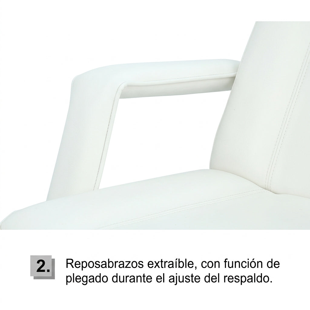 Camilla Eléctrica Spa y Estética Letmex M6011  3 Motores Respaldo y Reposapiés Ajustables
