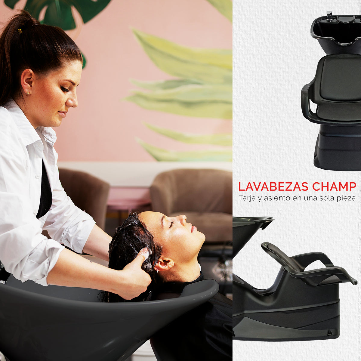 Lavacabezas Champ 1885 Letmex
