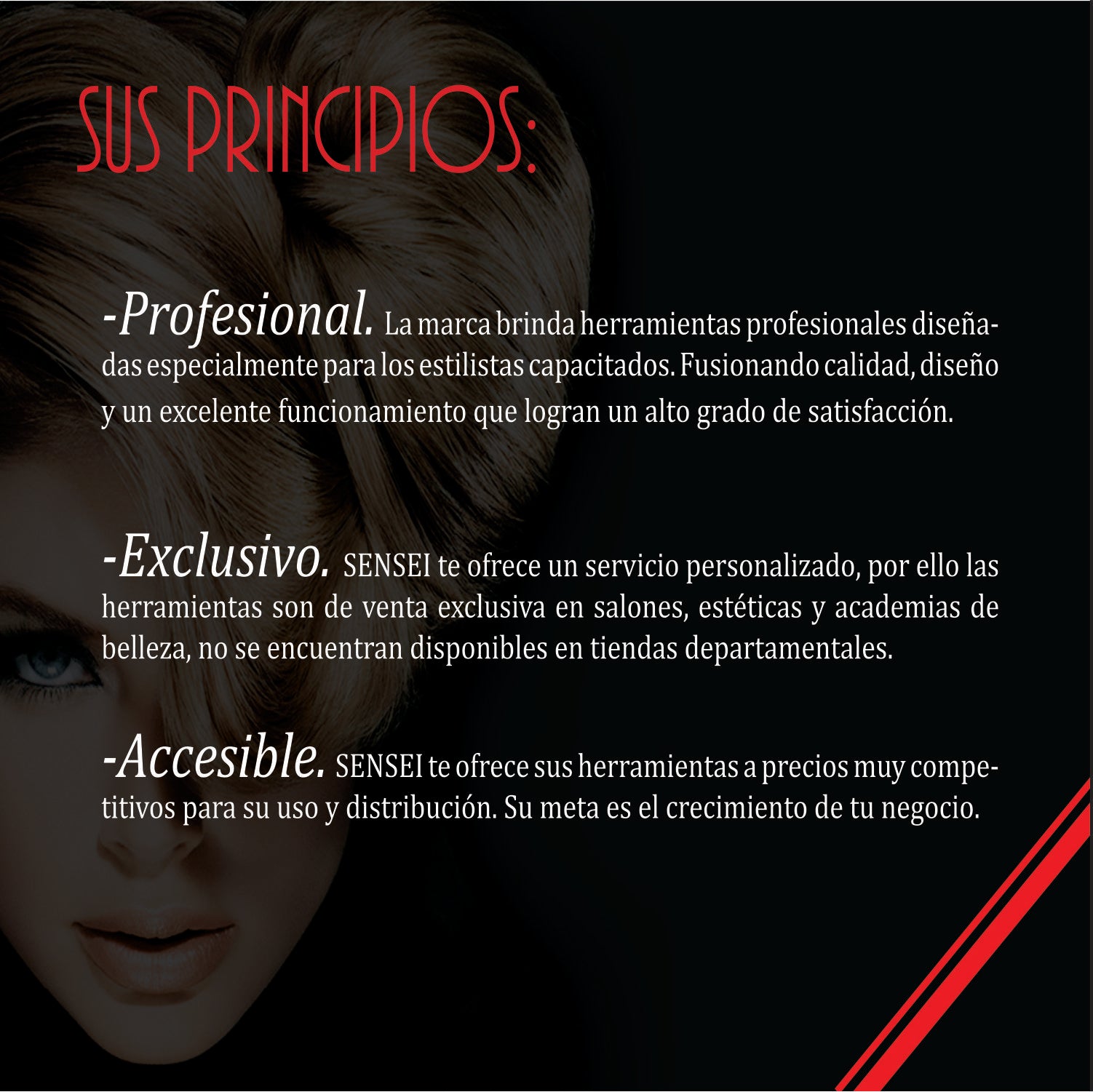Secadora Profesional HP-SB Blanca Sensei