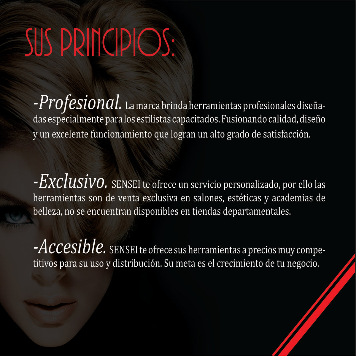 Secadora Profesional HP-SN Negra Sensei